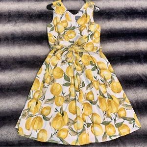 Rabbit Rabbit Rabbit Designs Lemon Print Sleeveless Knee Length Dress Size 10